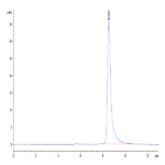 Mouse IgE Protein (IGE-MM401)