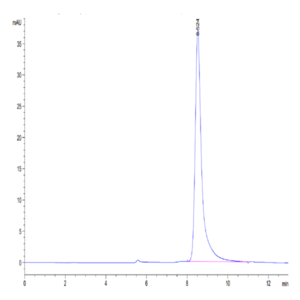 Mouse IgE Protein (IGE-MM401)