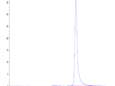 Mouse IgE Protein (IGE-MM401)