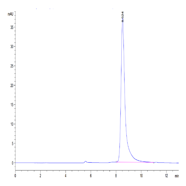 Mouse IgE Protein (IGE-MM401) Mouse IgE Protein (IGE-MM401)