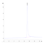 Cynomolgus IGFBP2 Protein (IGF-CM102)