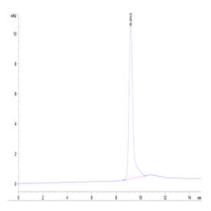 Cynomolgus IGFBP2 Protein (IGF-CM102)