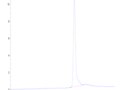 Cynomolgus IGFBP2 Protein (IGF-CM102)