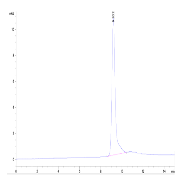 Cynomolgus IGFBP2 Protein (IGF-CM102) Cynomolgus IGFBP2 Protein (IGF-CM102)