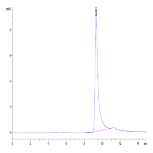 Human IGFBP2 Protein (IGF-HM102)