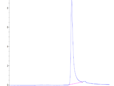 Human IGFBP2 Protein (IGF-HM102)