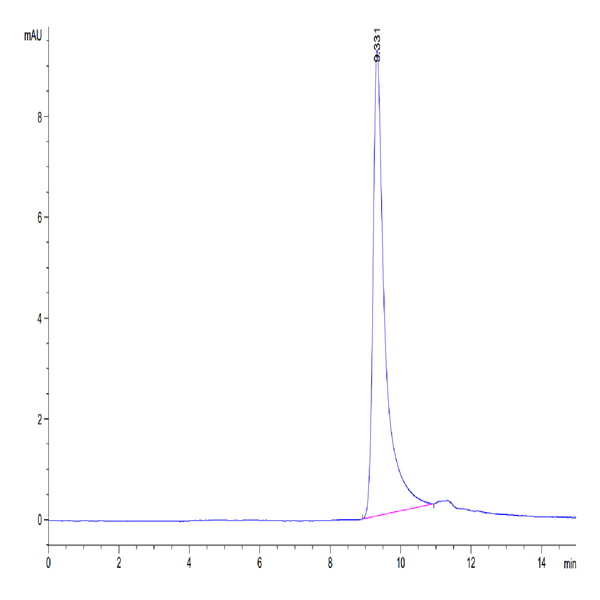 Human IGFBP2 Protein (IGF-HM102) Human IGFBP2 Protein (IGF-HM102)