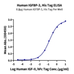 Human IGFBP-3 Protein (IGF-HM103)