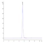 Human IGF2R Protein (IGF-HM12R)