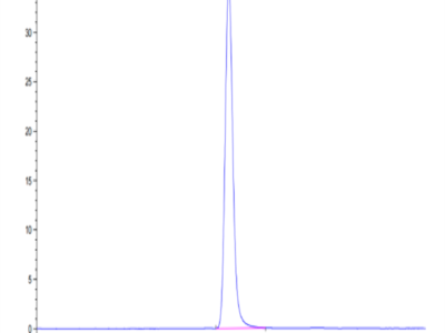 Human IGF2R Protein (IGF-HM12R)