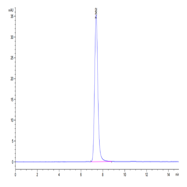 Human IGF2R Protein (IGF-HM12R)