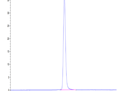 Biotinylated Human IGF2R Protein (IGF-HM12RB)