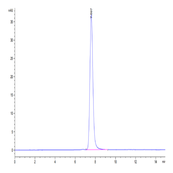 Biotinylated Human IGF2R Protein (IGF-HM12RB) Biotinylated Human IGF2R Protein (IGF-HM12RB)