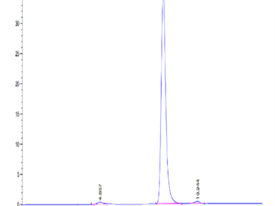 Human IGF2R Domain 1-3 Protein (IGF-HM1RD)