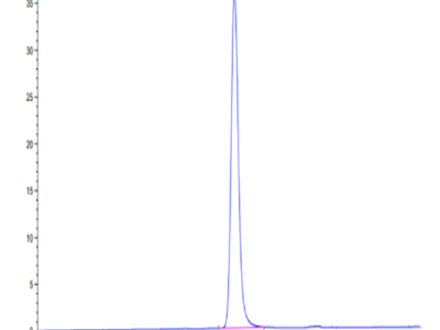 Human IGF2R Domain 1-7 Protein (IGF-HM1RE)