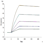 Human IGFI Protein (IGF-HM201)