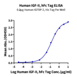Human IGFII Protein (IGF-HM202)