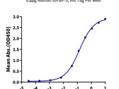 Human IGFII Protein (IGF-HM202)