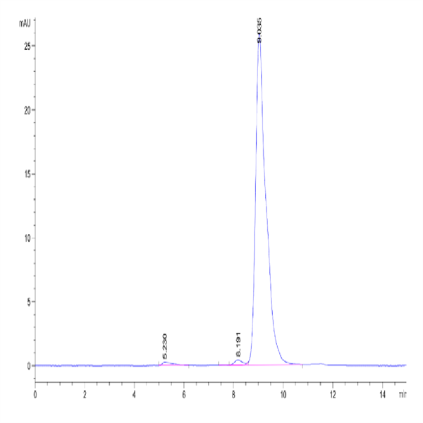 Human IGFII Protein (IGF-HM202)