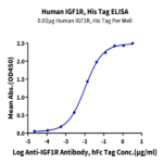 Human IGF1R/CD221 Protein (IGF-HM41R)