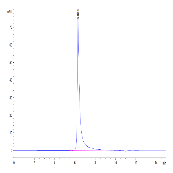 Human IGF1R/CD221 Protein (IGF-HM41R)