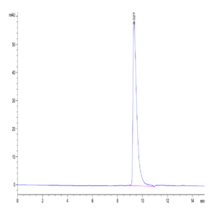 Mouse IGFBP2 Protein (IGF-MM102)
