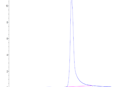 Mouse IGFBP-7 Protein (IGF-MM1BP)