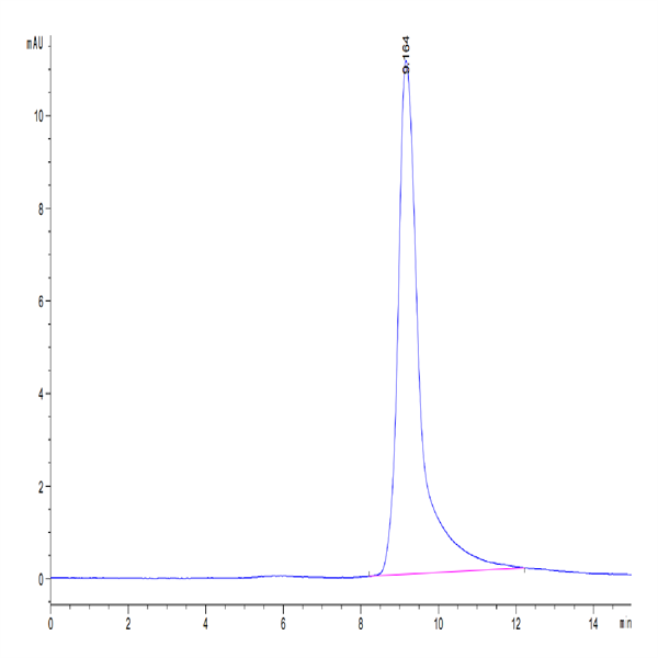 Mouse IGFBP-7 Protein (IGF-MM1BP) Mouse IGFBP-7 Protein (IGF-MM1BP)