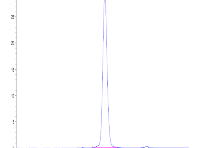 Mouse IGFBP-3R Protein (IGF-MM23R)