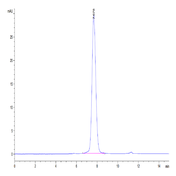 Mouse IGFBP-3R Protein (IGF-MM23R) Mouse IGFBP-3R Protein (IGF-MM23R)