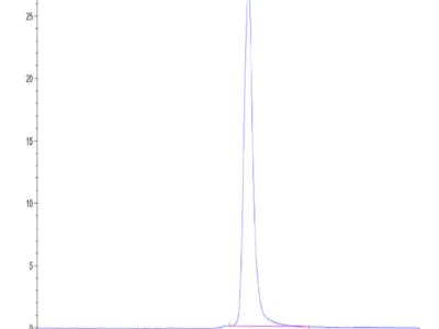 Mouse IGFBP-7 Protein (IGF-MM2BP)