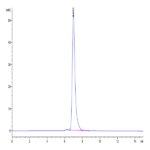 Human IgG1 Fc Protein (IGG-HM001)