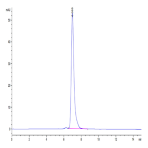 Human IgG1 Fc Protein (IGG-HM001)