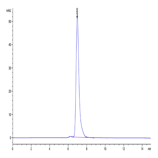 Human IgG1 Fc Protein (IGG-HM001)