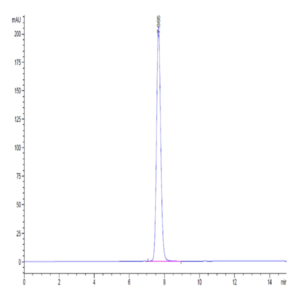 Human IgG4 Fc Protein (IGG-HM004)