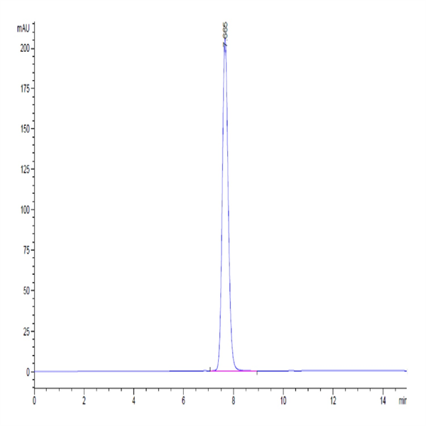 Human IgG4 Fc Protein (IGG-HM004)