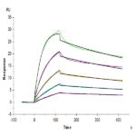 Mouse IgG2a Fc Protein (IGG-MM02A)