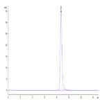 Mouse IgG2a Fc Protein (IGG-MM02A)