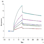 Cynomolgus IL-1 Beta/IL-1F2 Protein (IL1-CE10B)