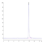 Cynomolgus IL-1 Beta/IL-1F2 Protein (IL1-CE10B)