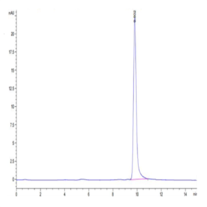 Cynomolgus IL-1 Beta/IL-1F2 Protein (IL1-CE10B)