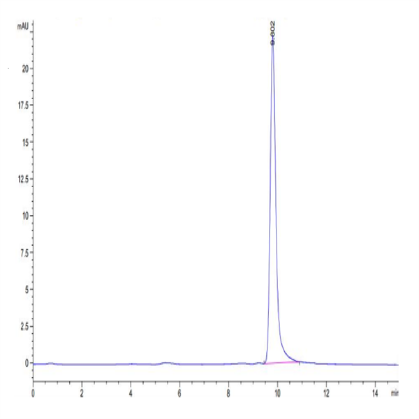 Cynomolgus IL-1 Beta/IL-1F2 Protein (IL1-CE10B)
