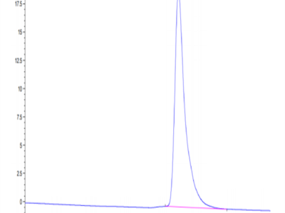 Cynomolgus IL-1 alpha/IL-1A Protein (IL1-CM10A)