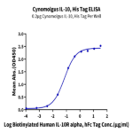 Cynomolgus IL-10 Protein (IL1-CM110)