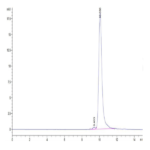 Cynomolgus IL-11 Protein (IL1-CM111)