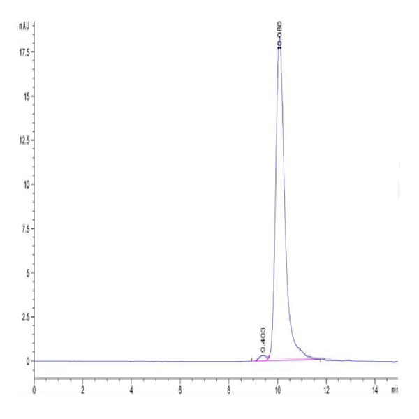 Cynomolgus IL-11 Protein (IL1-CM111)
