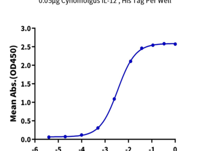 Cynomolgus IL-12 Protein (IL1-CM112)