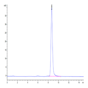 Cynomolgus IL-12 Protein (IL1-CM112)