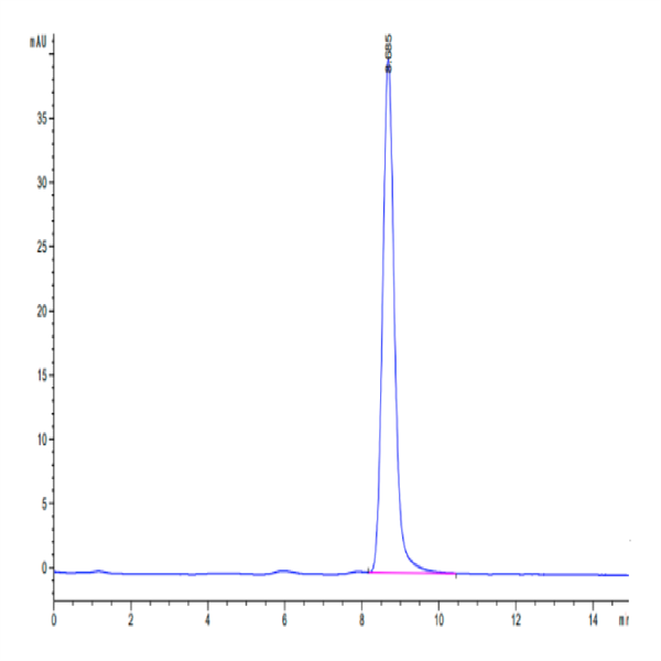 Cynomolgus IL-12 Protein (IL1-CM112)