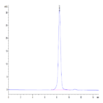 Cynomolgus IL-1 Rrp2/IL-1 R6 Protein (IL1-CM1L2)